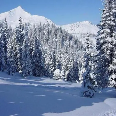 Rustikales Medebach-ski-retreat Medebach