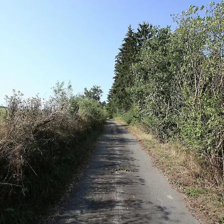 Rustikales Medebach-ski-retreat Apartmán *