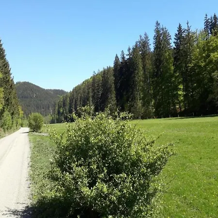 Lägenhet Rustikales Medebach-ski-retreat
