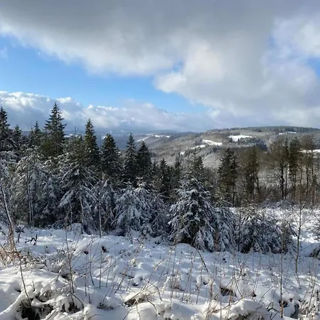Rustikales Medebach-ski-retreat Lägenhet *