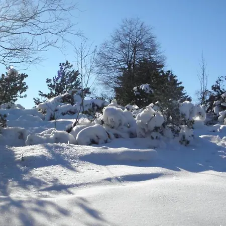 Rustikales Medebach-ski-retreat Medebach