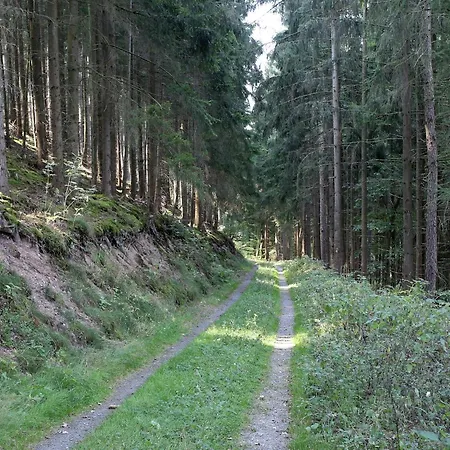 Rustikales Medebach-ski-retreat