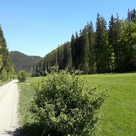 Rustikales Medebach-ski-retreat Appartement *