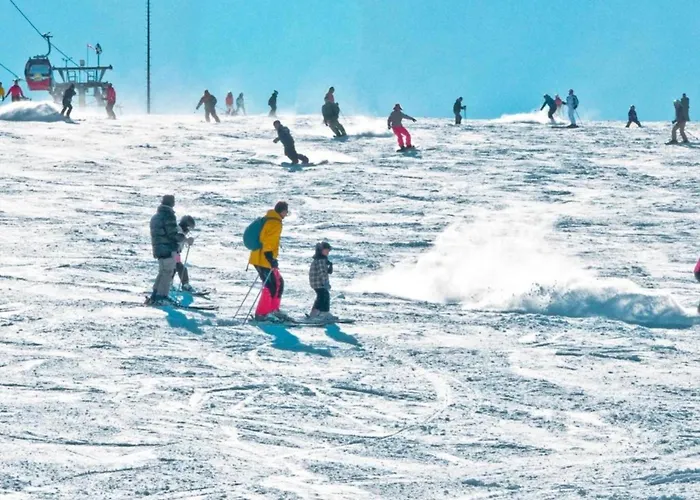 Rustikales Medebach-ski-retreat *