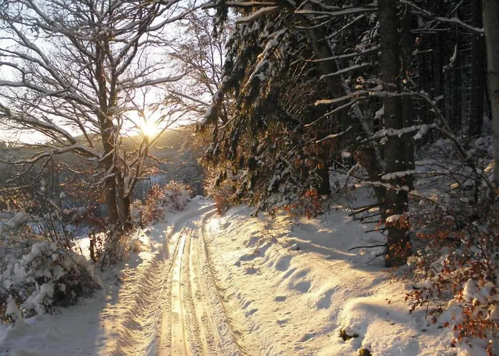 Rustikales Medebach-ski-retreat Medebach