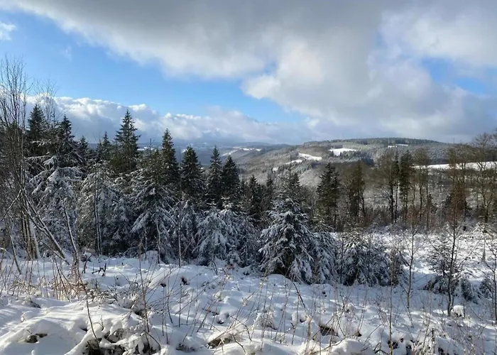 Rustikales Medebach-ski-retreat Lejlighed *