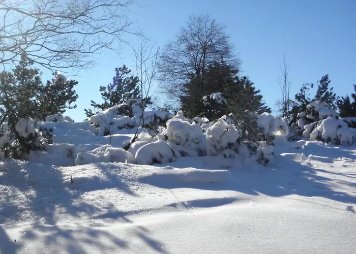 Rustikales Medebach-ski-retreat Medebach